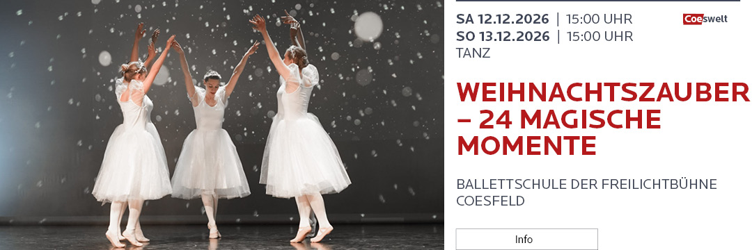 WEIHNACHTSZAUBER – 24 MAGISCHE MOMENTE